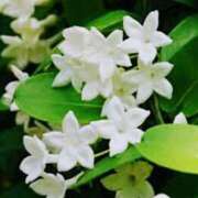 ヒメ日記 2025/04/26 08:15 投稿 森本 MadameRest(マダムレスト)