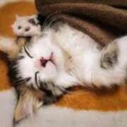 ヒメ日記 2025/04/27 01:15 投稿 森本 MadameRest(マダムレスト)