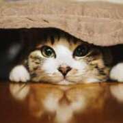 ヒメ日記 2025/04/28 12:24 投稿 森本 MadameRest(マダムレスト)