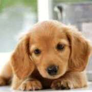 ヒメ日記 2025/04/29 12:24 投稿 森本 MadameRest(マダムレスト)