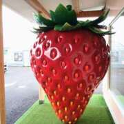 ヒメ日記 2025/04/29 16:15 投稿 森本 MadameRest(マダムレスト)