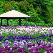 ヒメ日記 2025/05/04 16:52 投稿 森本 MadameRest(マダムレスト)