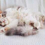 ヒメ日記 2025/05/09 08:24 投稿 森本 MadameRest(マダムレスト)