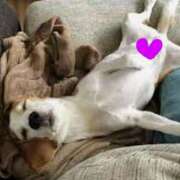 ヒメ日記 2025/05/10 19:52 投稿 森本 MadameRest(マダムレスト)