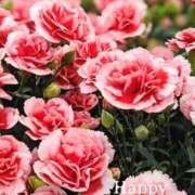 ヒメ日記 2025/05/11 13:24 投稿 森本 MadameRest(マダムレスト)