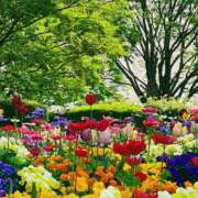 ヒメ日記 2025/05/11 15:24 投稿 森本 MadameRest(マダムレスト)