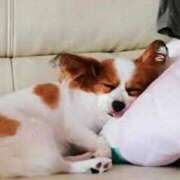 ヒメ日記 2025/05/16 20:31 投稿 森本 MadameRest(マダムレスト)