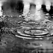 ヒメ日記 2025/05/17 13:15 投稿 森本 MadameRest(マダムレスト)