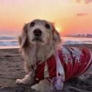 ヒメ日記 2025/05/17 17:24 投稿 森本 MadameRest(マダムレスト)