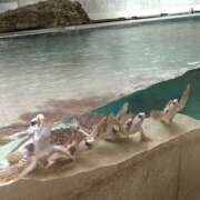 ヒメ日記 2025/05/19 15:15 投稿 森本 MadameRest(マダムレスト)