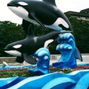 ヒメ日記 2025/05/19 16:31 投稿 森本 MadameRest(マダムレスト)