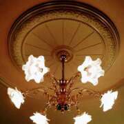 ヒメ日記 2025/05/19 20:52 投稿 森本 MadameRest(マダムレスト)