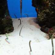 ヒメ日記 2025/05/20 00:15 投稿 森本 MadameRest(マダムレスト)