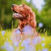 ヒメ日記 2025/05/20 14:15 投稿 森本 MadameRest(マダムレスト)