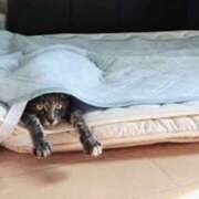 ヒメ日記 2025/05/21 08:15 投稿 森本 MadameRest(マダムレスト)