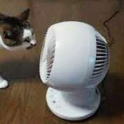 ヒメ日記 2025/05/21 23:32 投稿 森本 MadameRest(マダムレスト)