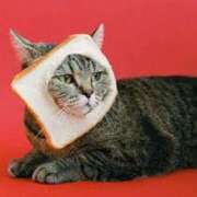 ヒメ日記 2025/05/23 23:15 投稿 森本 MadameRest(マダムレスト)