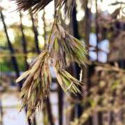 ヒメ日記 2025/05/24 13:52 投稿 森本 MadameRest(マダムレスト)