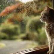 ヒメ日記 2025/05/25 01:15 投稿 森本 MadameRest(マダムレスト)