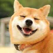 ヒメ日記 2025/05/25 14:52 投稿 森本 MadameRest(マダムレスト)