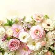 ヒメ日記 2025/05/28 16:33 投稿 森本 MadameRest(マダムレスト)