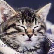 ヒメ日記 2025/05/31 01:52 投稿 森本 MadameRest(マダムレスト)