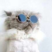 ヒメ日記 2025/05/31 07:52 投稿 森本 MadameRest(マダムレスト)