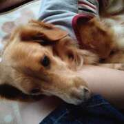 ヒメ日記 2025/05/31 23:31 投稿 森本 MadameRest(マダムレスト)