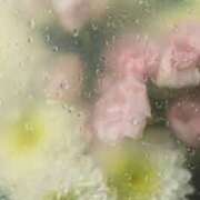 ヒメ日記 2025/05/31 23:52 投稿 森本 MadameRest(マダムレスト)