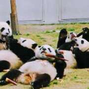 ヒメ日記 2025/06/01 16:15 投稿 森本 MadameRest(マダムレスト)