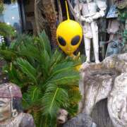 ヒメ日記 2025/06/02 15:11 投稿 森本 MadameRest(マダムレスト)