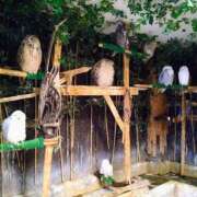 ヒメ日記 2025/06/02 15:59 投稿 森本 MadameRest(マダムレスト)