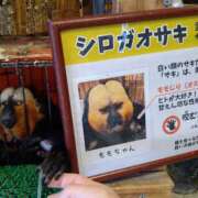 ヒメ日記 2025/06/02 16:31 投稿 森本 MadameRest(マダムレスト)