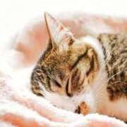 ヒメ日記 2025/06/04 02:52 投稿 森本 MadameRest(マダムレスト)