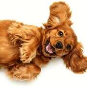 ヒメ日記 2025/06/04 12:15 投稿 森本 MadameRest(マダムレスト)