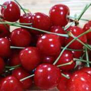 ヒメ日記 2025/06/05 01:24 投稿 森本 MadameRest(マダムレスト)