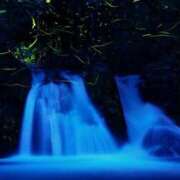 ヒメ日記 2025/06/07 14:24 投稿 森本 MadameRest(マダムレスト)