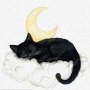 ヒメ日記 2025/06/14 01:52 投稿 森本 MadameRest(マダムレスト)