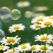 ヒメ日記 2025/06/17 16:10 投稿 森本 MadameRest(マダムレスト)