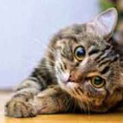 ヒメ日記 2025/06/21 07:52 投稿 森本 MadameRest(マダムレスト)