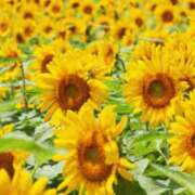 ヒメ日記 2025/06/23 20:00 投稿 森本 MadameRest(マダムレスト)