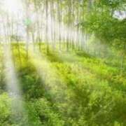 ヒメ日記 2025/06/27 07:52 投稿 森本 MadameRest(マダムレスト)