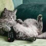 ヒメ日記 2025/06/28 08:31 投稿 森本 MadameRest(マダムレスト)