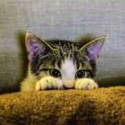 ヒメ日記 2025/07/02 07:24 投稿 森本 MadameRest(マダムレスト)