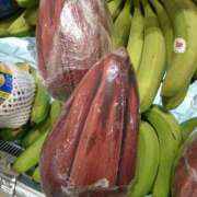 ヒメ日記 2025/07/09 19:53 投稿 森本 MadameRest(マダムレスト)