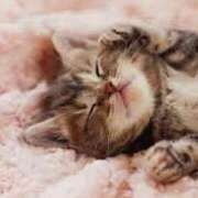 ヒメ日記 2025/07/11 23:24 投稿 森本 MadameRest(マダムレスト)