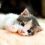 ヒメ日記 2025/07/13 08:15 投稿 森本 MadameRest(マダムレスト)