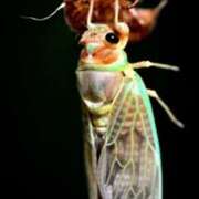 ヒメ日記 2025/07/13 16:36 投稿 森本 MadameRest(マダムレスト)