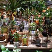 ヒメ日記 2025/07/14 20:52 投稿 森本 MadameRest(マダムレスト)