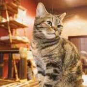 ヒメ日記 2025/07/15 16:41 投稿 森本 MadameRest(マダムレスト)